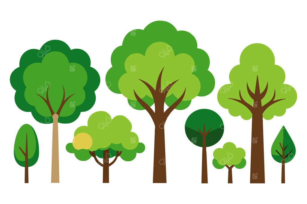 مجموعه‌ای از درختان با رنگ‌ها و شکل‌های متنوع