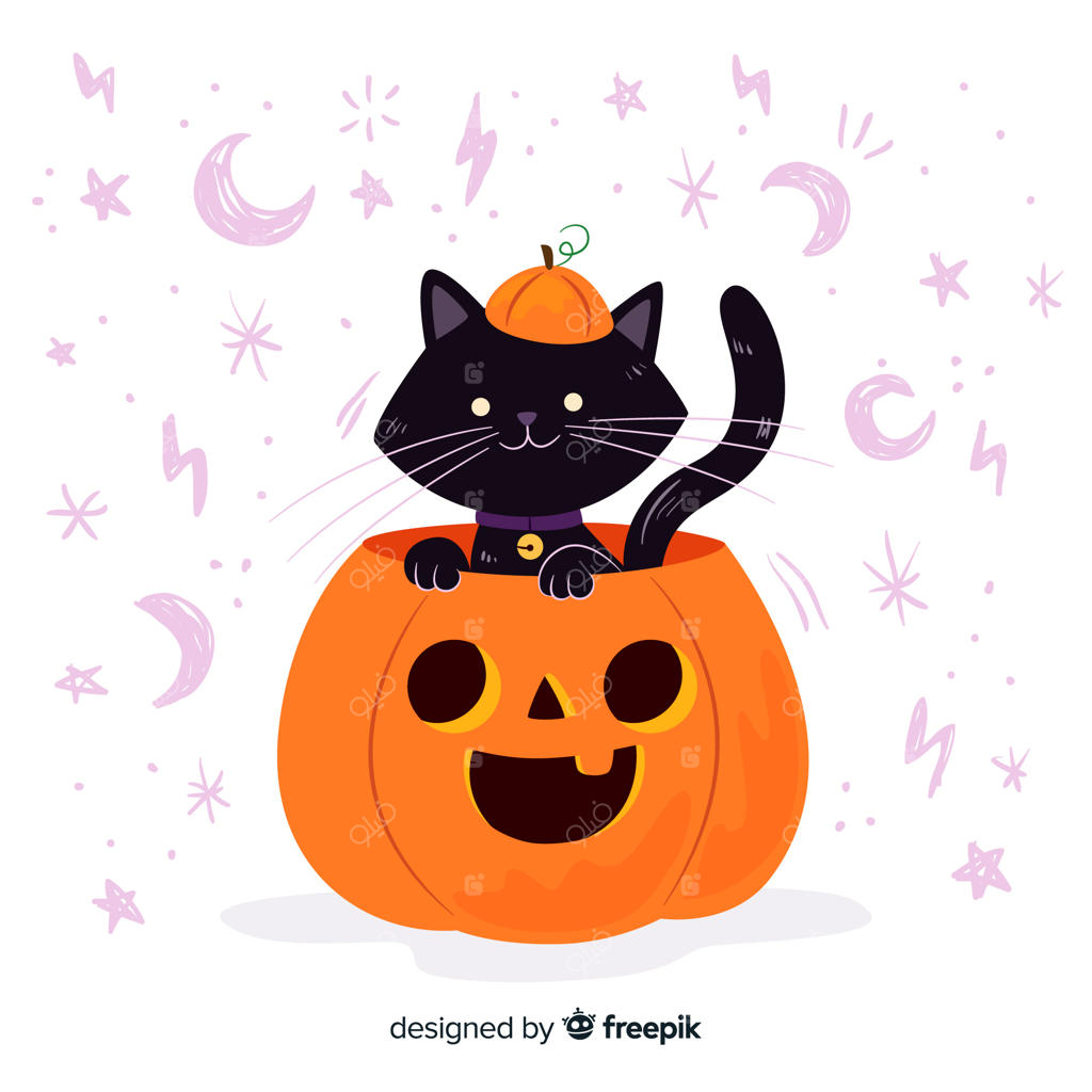 گربه درون کدو تنبل برای طراحی تخت هالووین