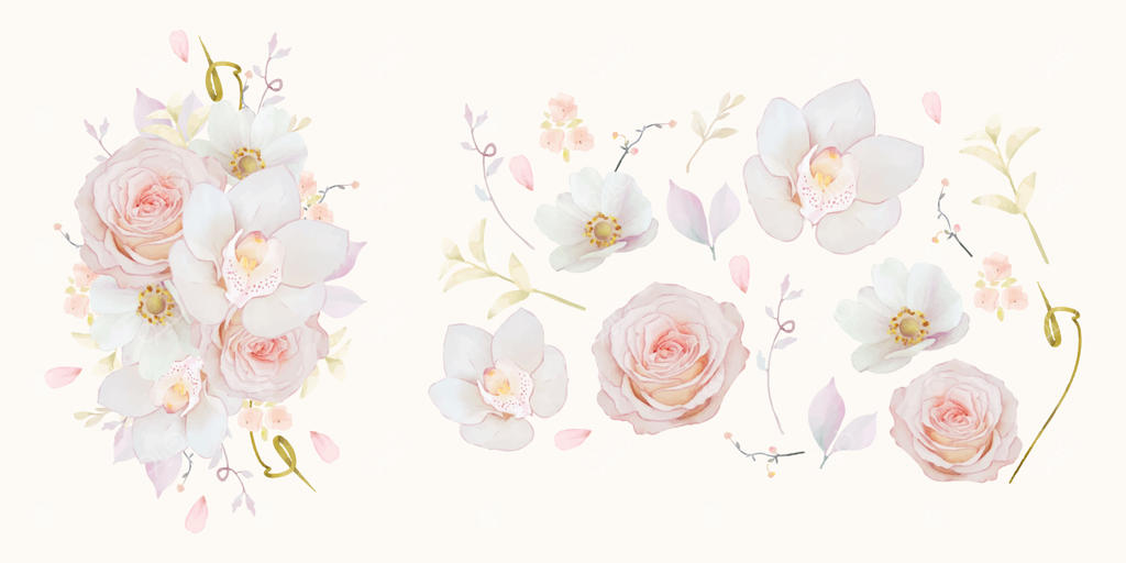 مجموعه عناصر آبرنگی گل رز صورتی، ارکیده و شقایق