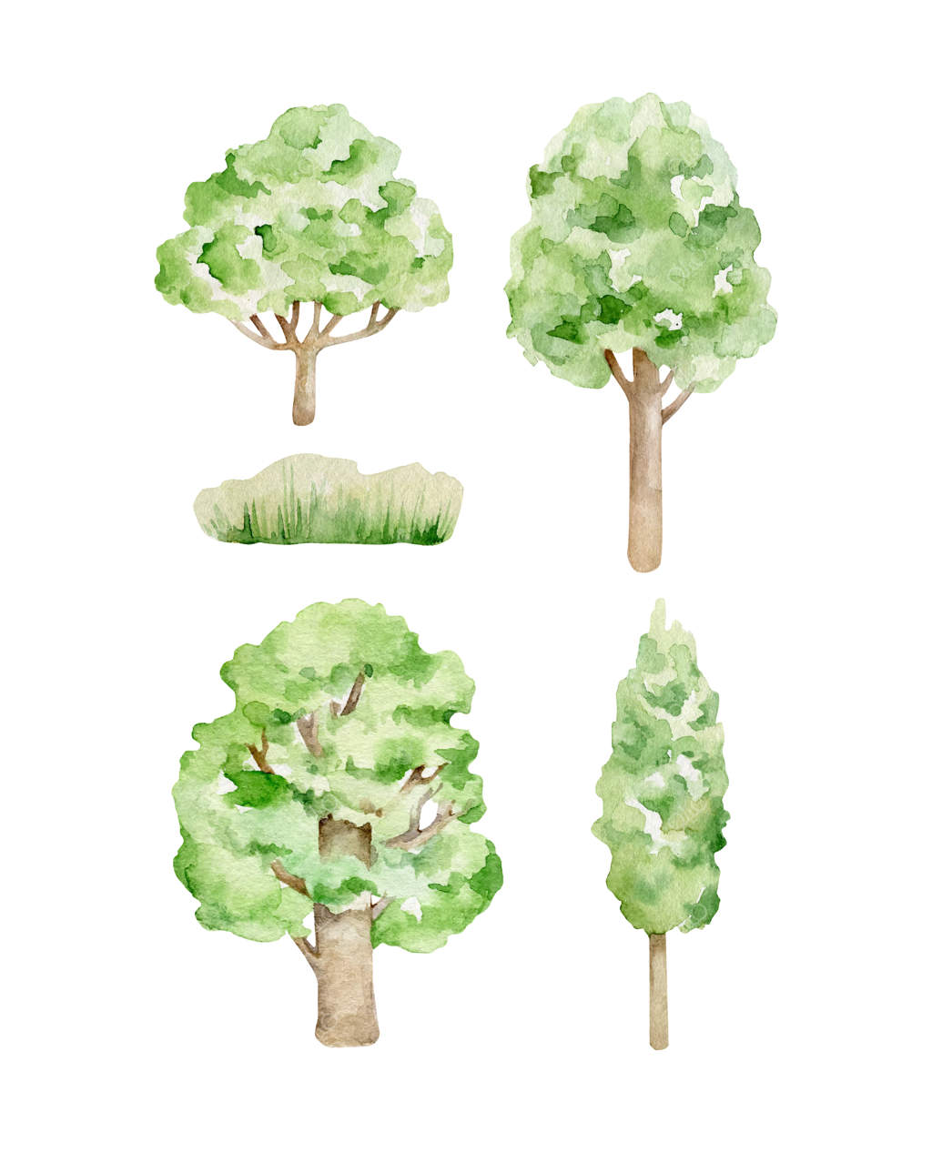 درختان با آبرنگ