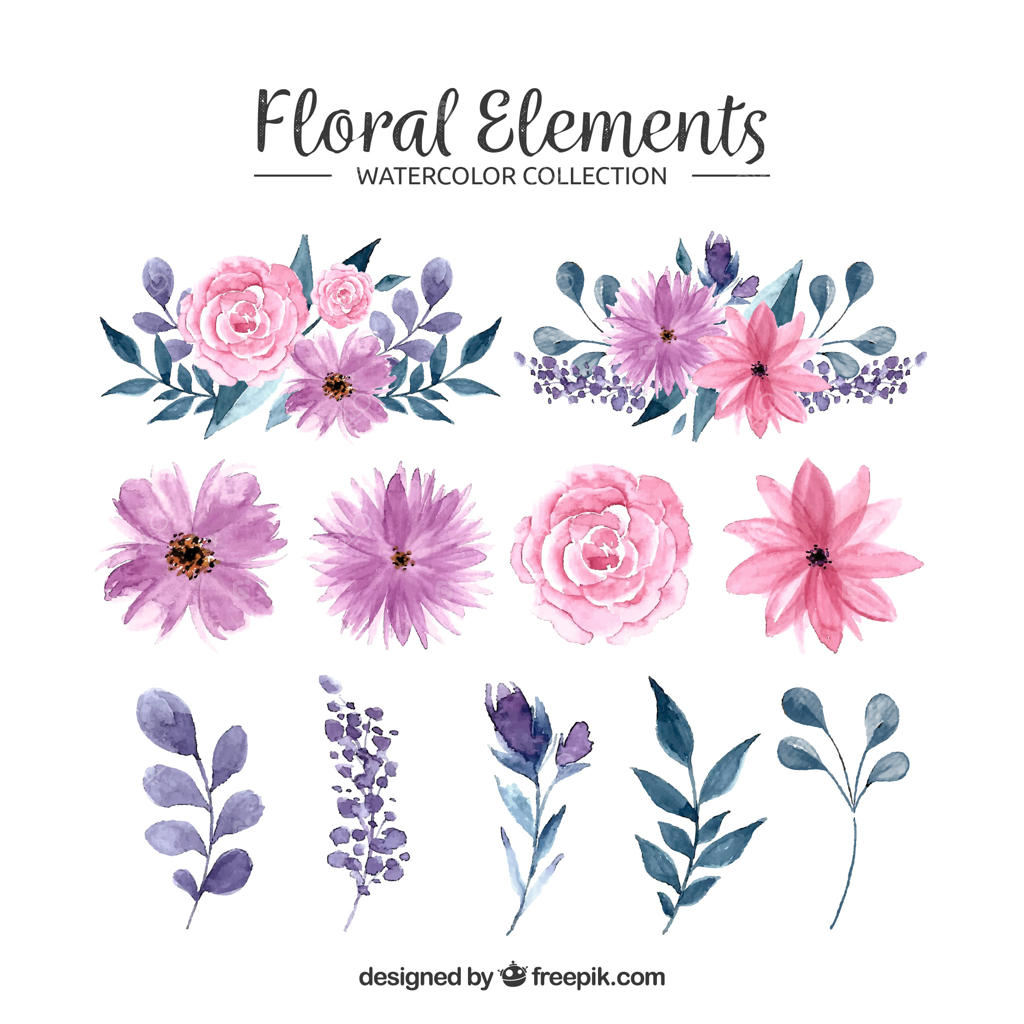 مجموعه‌ای از عناصر گل آبرنگی