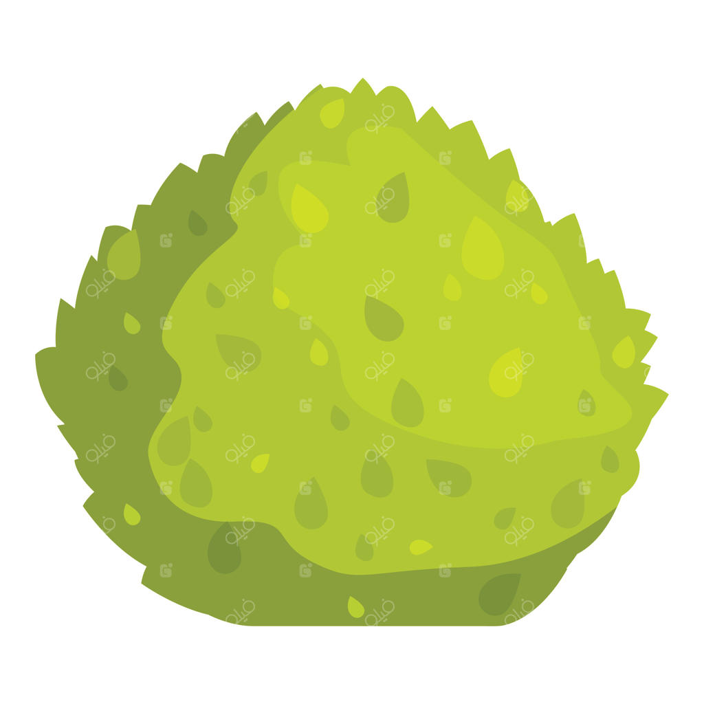 بوته گرد سبز با شاخ و برگ انبوه برای طراحی باغ