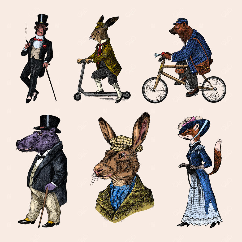 خرس قهوه‌ای دوچرخه‌سوار، روباه، میمون، اسب آبی و خرگوش سوار بر اسکوتر؛ طرح آنتیک