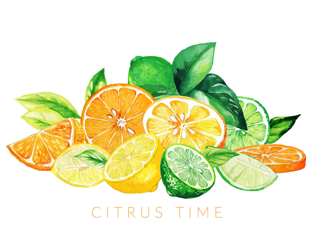 تپه‌ای از میوه‌های مخلوط، نقاشی آبرنگ دستی