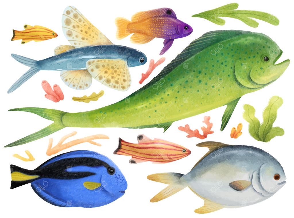 مجموعه‌ای از ماهی‌های دریایی با آبرنگ دستی نقاشی شده