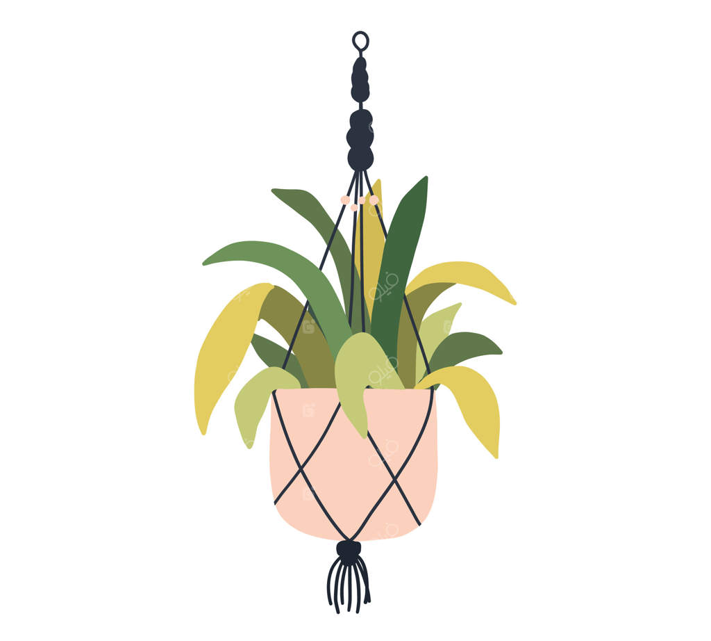 آویز مکرمه با گلدان: دیوارکوب گلدانی برای دکوراسیون داخلی