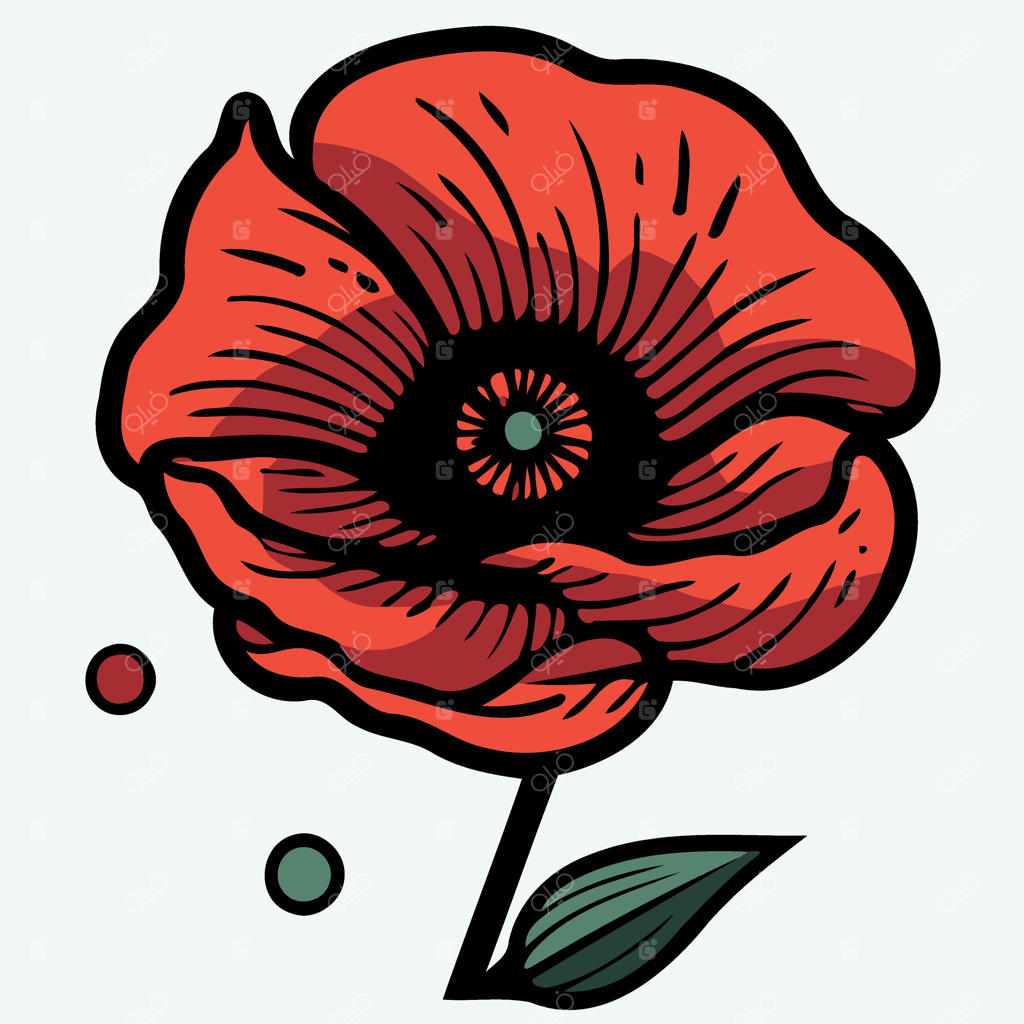 یک گل شقایق قرمز