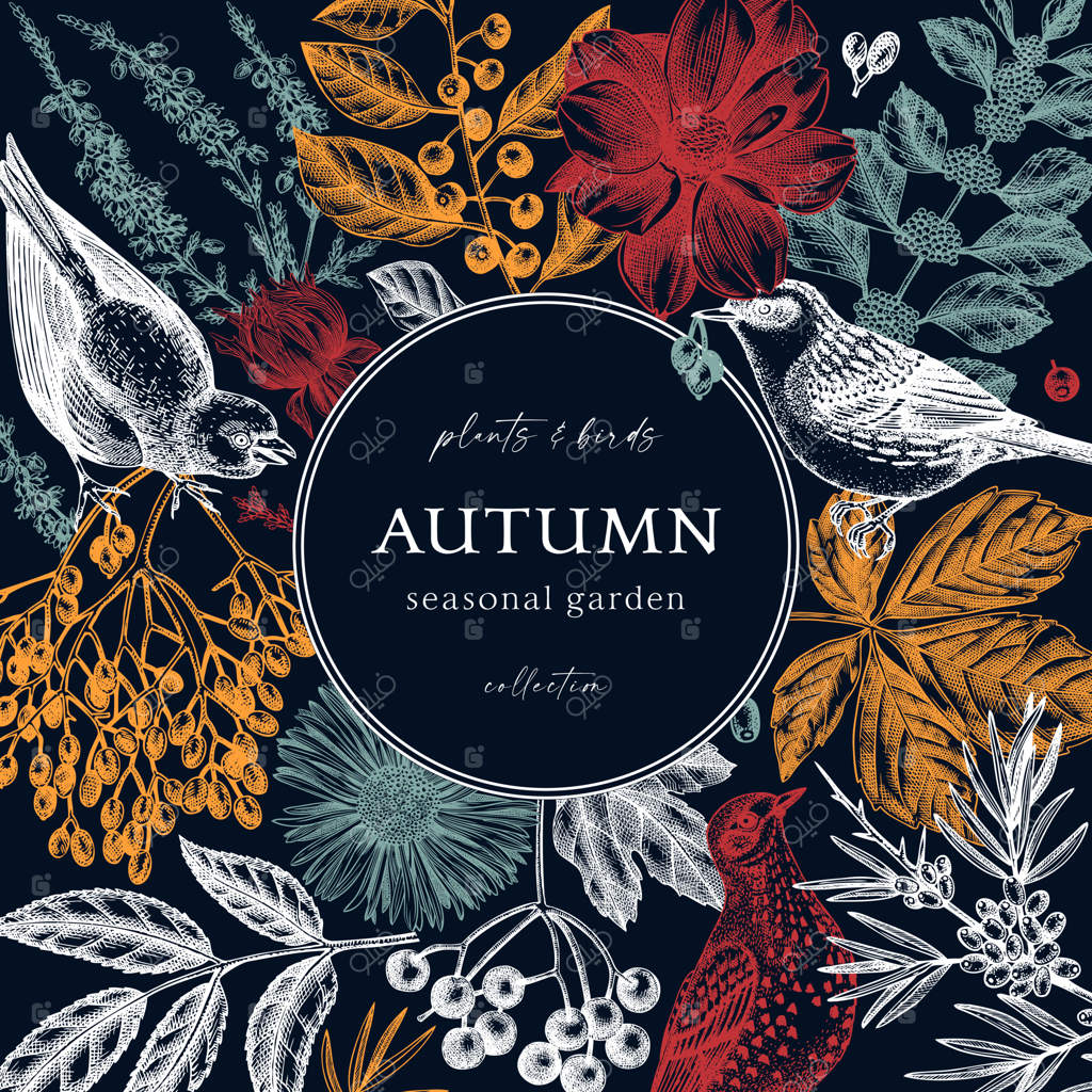 طراحی پاییزی رنگارنگ پرندگان روی زمینه آبی تیره قالب گیاهی شیک