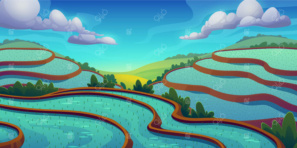 کشف زیبایی شالیزارهای پلکانی در طبیعت حرفه‌ای وکتور