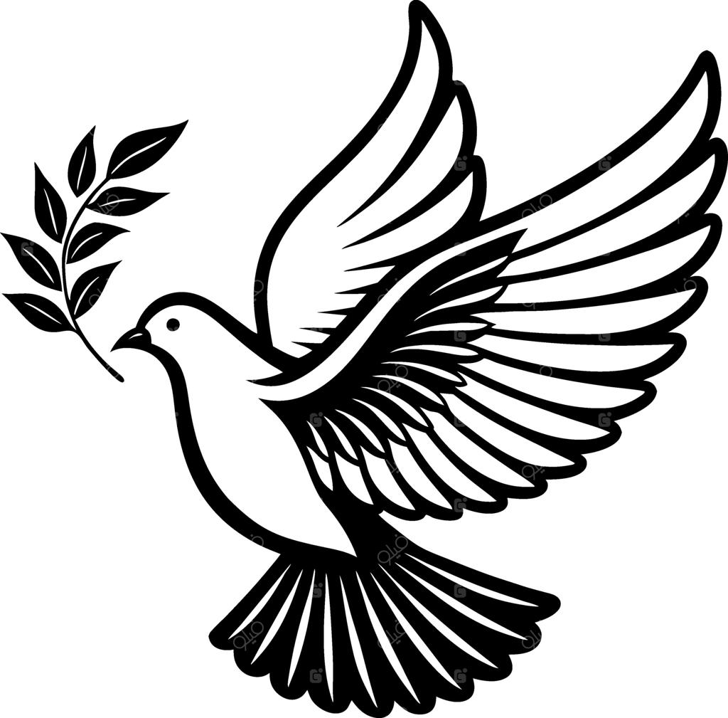کبوتر ظریف در حال پرواز با شاخه زیتون؛ نماد صلح و آزادی، مناسب برای تاتو و طراحی