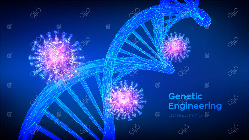 توالی DNA و سلول‌های ویروس عفونت‌زای COVID-19: بررسی باکتری‌ها و ویروس نوظهور کرونا ۲۰۱۹. طراحی شبکه‌ای ساختار مولکول‌های DNA.