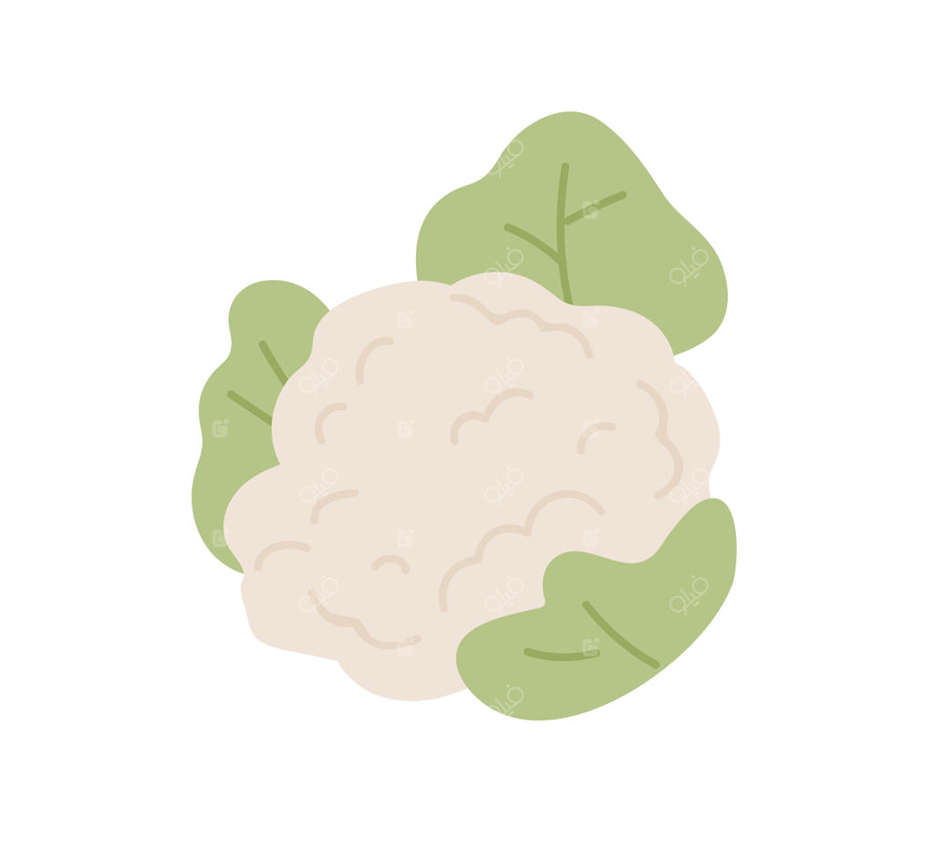 گل کلم تازه با برگ: نماد سبزیجات سالم. تصویر رنگی و تخت از گل کلم با برگ، مناسب برای طرح‌های غذای سالم.