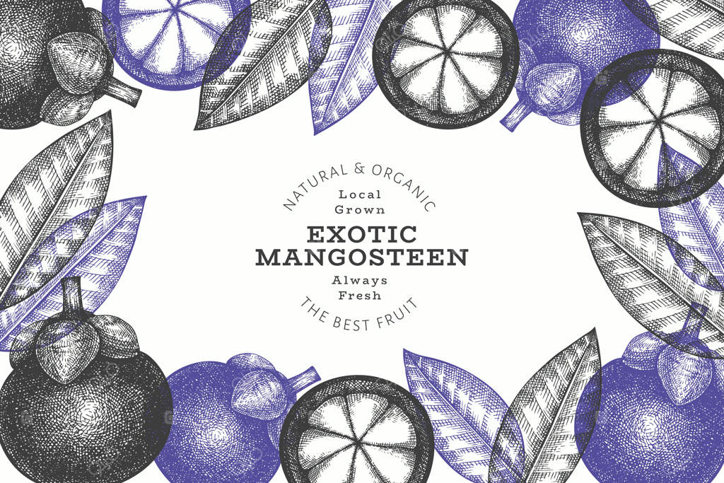 قالب طراحی دست‌کشیده منگوستین به سبک اسکچ: تصویرسازی میوه ارگانیک تازه روی پس‌زمینه سفید. میوه‌ای نوستالژیک.