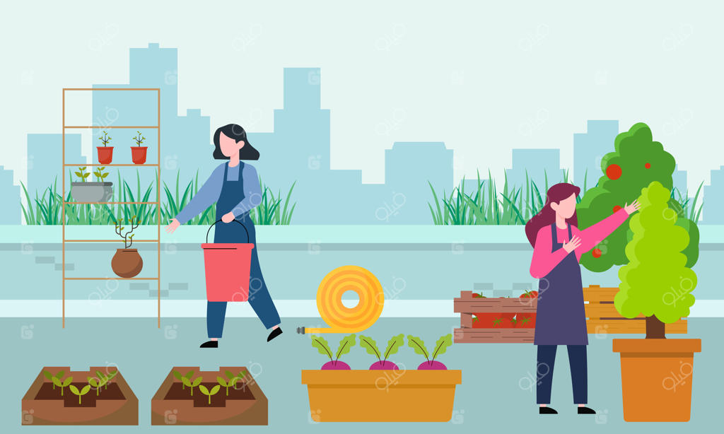 افراد باغبان و کشاورز: طراحی پشت‌بام سبز به صورت هماهنگ و تصویری