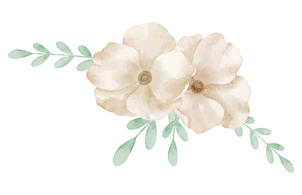 ترکیب گل‌های آبرنگی با گل‌های کرم و برگ‌های سبز ملایم. تصویرسازی گیاهی گل‌های رز پاستلی برای دعوت‌نامه‌های عروسی یا کارت‌های تبریک کودکانه. طراحی برای نوشت‌افزار کودکان.