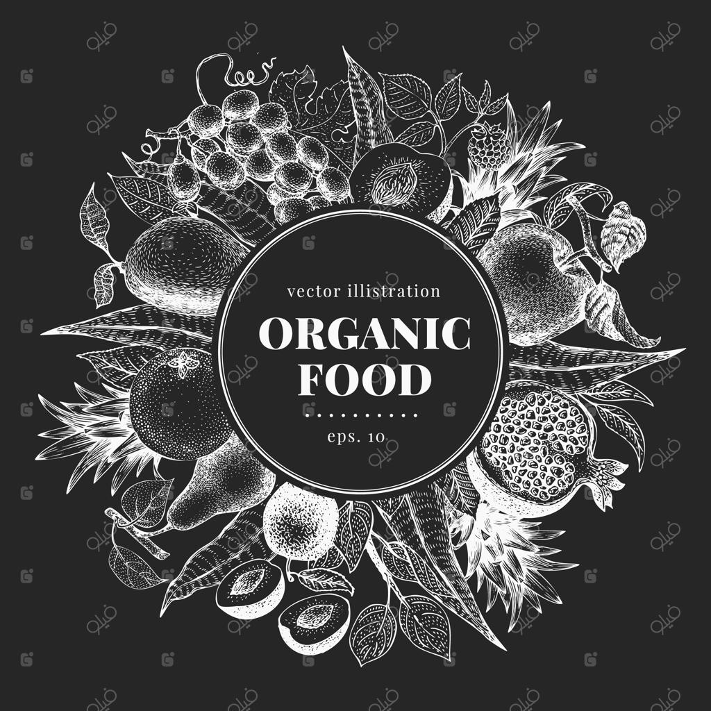 میوه‌ها و توت‌های دست‌نقاشی شده: تصاویر وکتور بر روی تخته سیاه به سبک وینتج