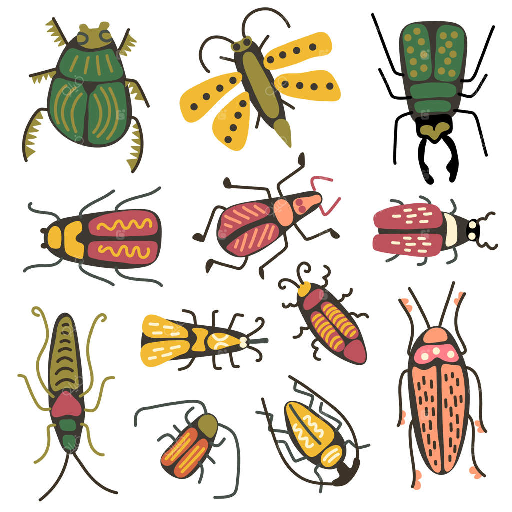 مجموعه‌ای از حشرات رنگارنگ با اشکال و اندازه‌های متنوع روی زمینه‌ای سفید. مفهومی از طبیعت، حشرات و تنوع زیستی. دکور باغ، سرگرمی کودکان و لذت بصری.