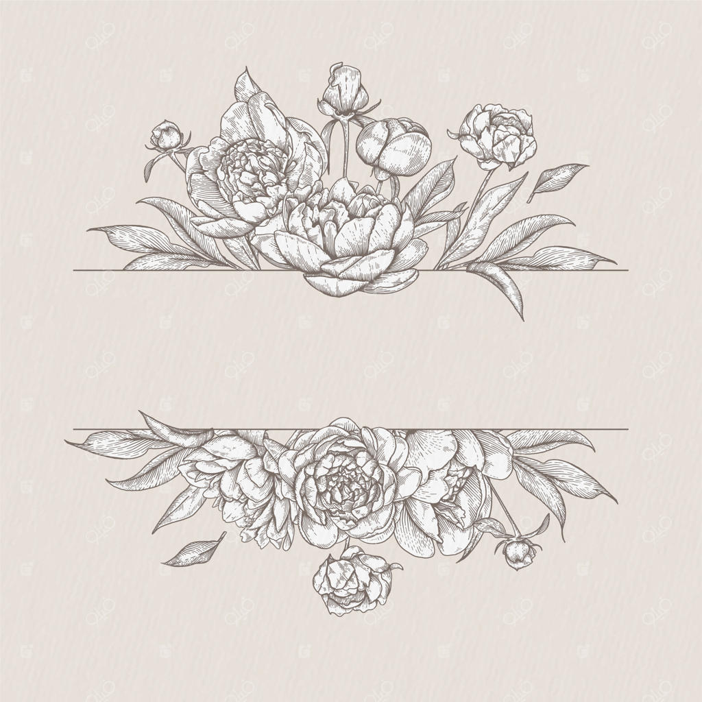 وکتور گل رز قدیمی با طرح‌های گیاهی و مرزبندی کلاسیک