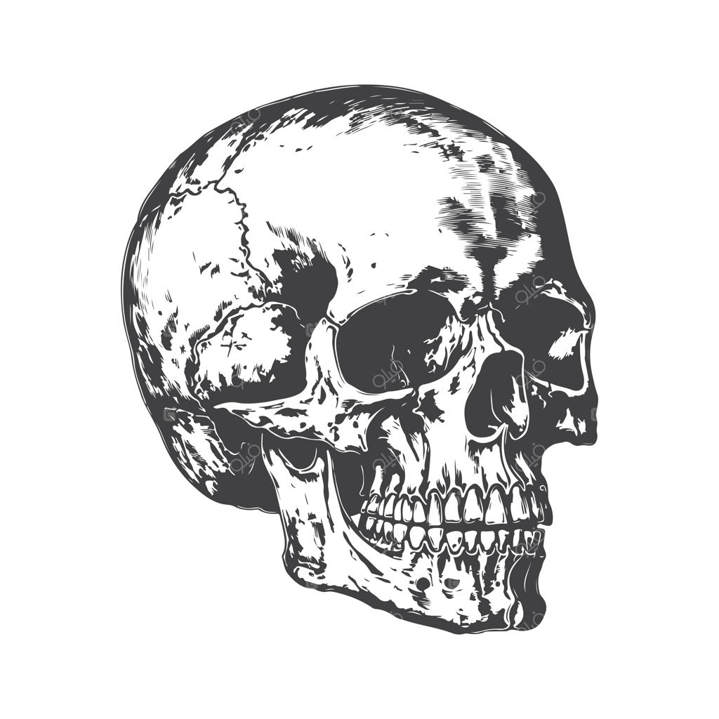 طرح تک‌خطی دستی و وینتیج مناسب برای لوگو، پوستر و پس‌زمینه