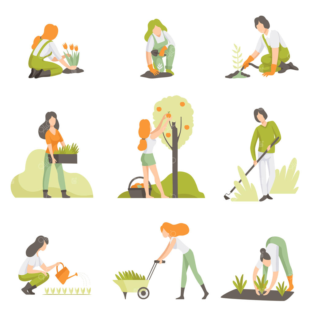 مراقبت از گیاهان در باغ، مردان و زنان در حال رشد محصولات کشاورزی - تصویرسازی