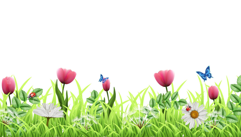 پس‌زمینه‌ای فانتزی و زیبا با گلهای سبز. چمنی سبز با لاله‌های صورتی، بابونه، پروانه‌ها و کفشدوزک‌ها. قالبی ایده‌آل برای طرح و ایده‌های شما.