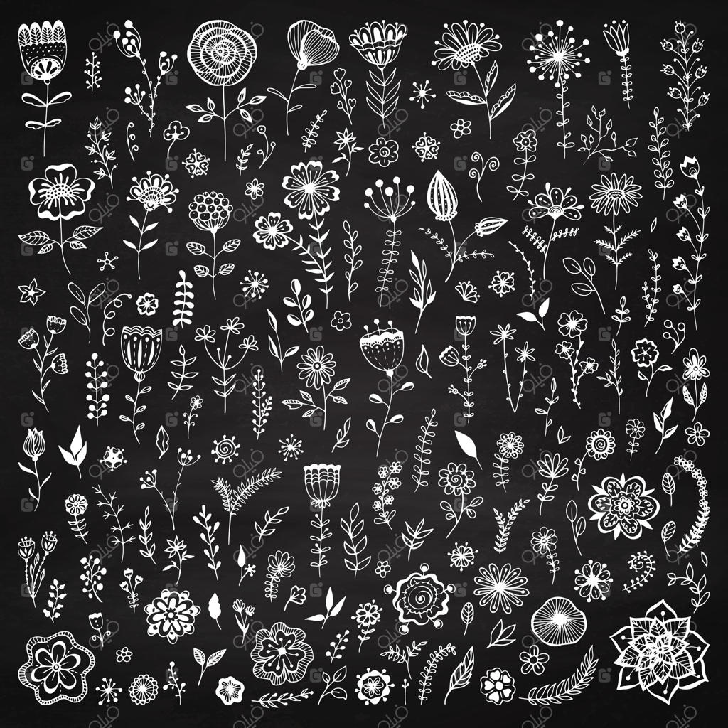 مجموعه‌ای از عناصر گل‌دار روی تخته سیاه. عناصر گچی برای طراحی و دکور عروسی. زمینه کلاسیک. طراحی گل‌ها و برگ‌ها. کارت تبریک و تصویرسازی.