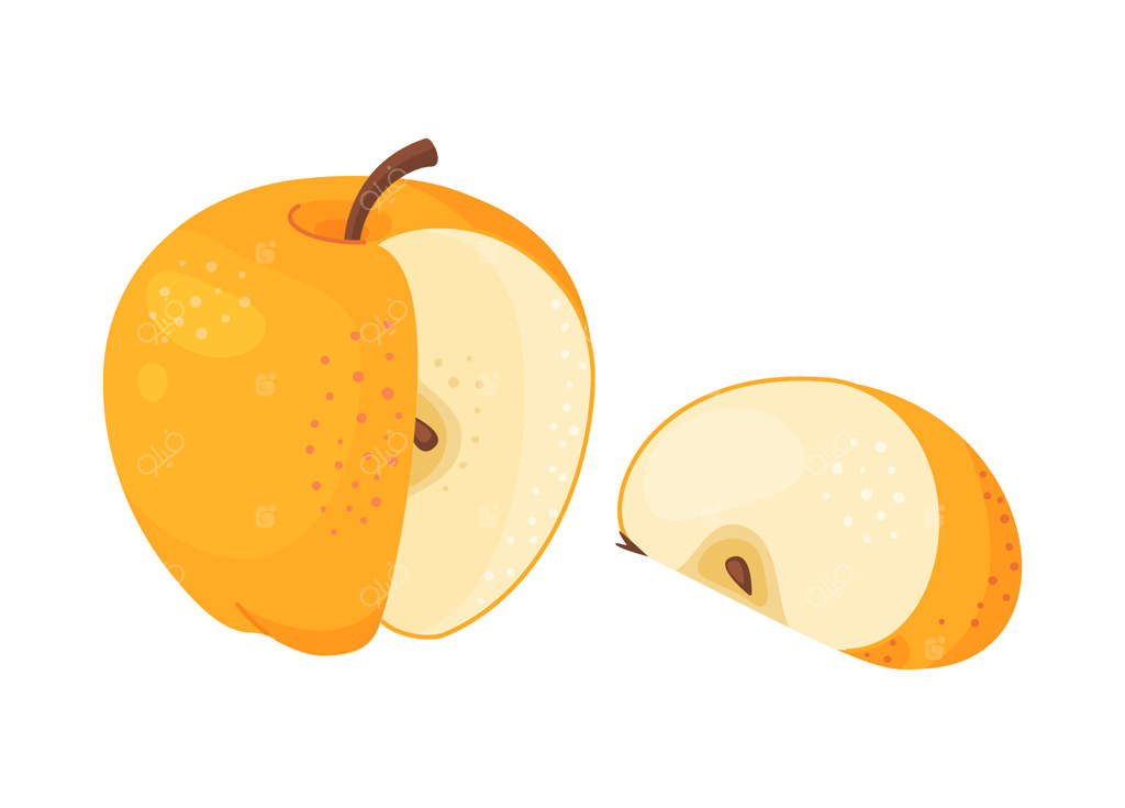 سیب زرد رسیده، برش داده شده و قاچ شده - میوه تازه از باغ. نقاشی دستی کلیپ آرت سیب، سبک تخت روی پس‌زمینه شفاف. سیب «گلدن دلیشز»