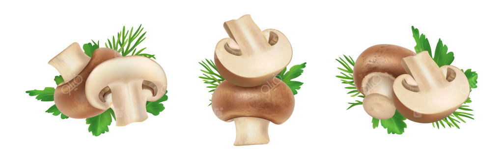 قارچ دکمه‌ای واقع‌گرا روی پس‌زمینه سفید.