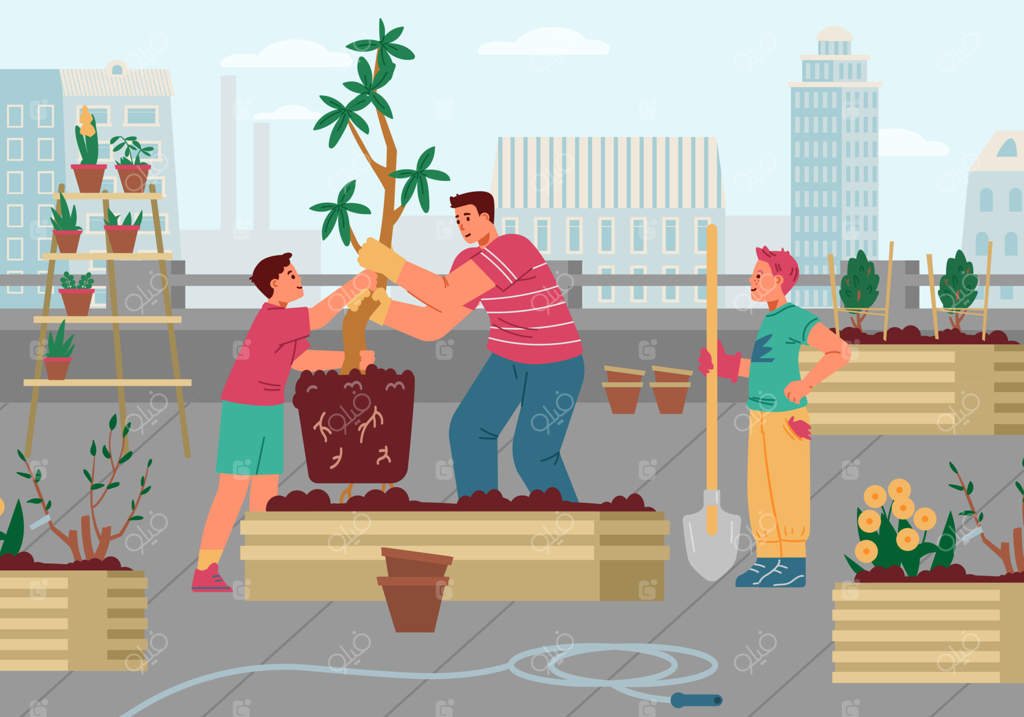 پدر و پسران در حال باغبانی در باغچه پشت‌بام - تصویر برداری. مرد و دو پسر در حال کاشتن درخت.