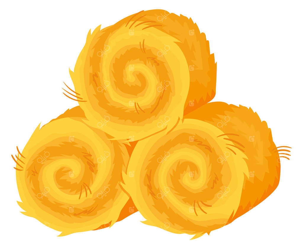 انبار کردن بسته‌های علوفه در مزرعه برای خشک کردن یونجه و چمن