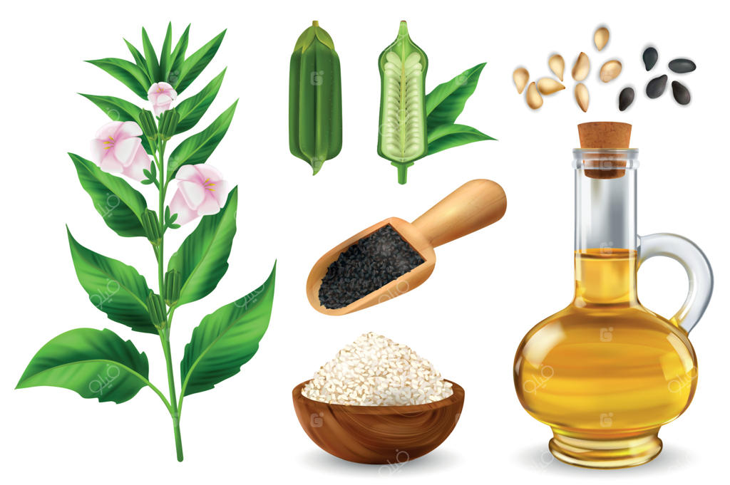 مجموعه واقع‌گرایانه کنجد