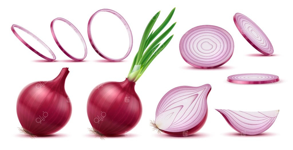 پیاز قرمز خام واقعی: برش‌ها و حلقه‌ها