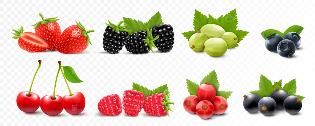 ترکیب توت‌ها: توت‌فرنگی، تمشک، شاه‌توت، گوس‌بری، گیلاس، انگور فرنگی و بلوبری با برگ‌های سبز در پس‌زمینه سفید - تصویر سازی واقعی 3D وکتور