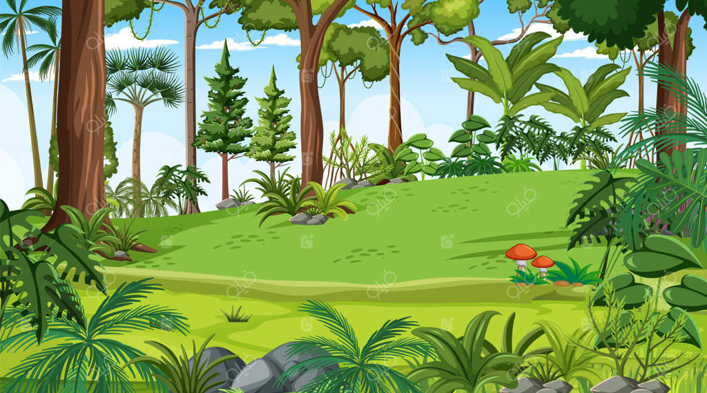 منظره طبیعی جنگل و درختان