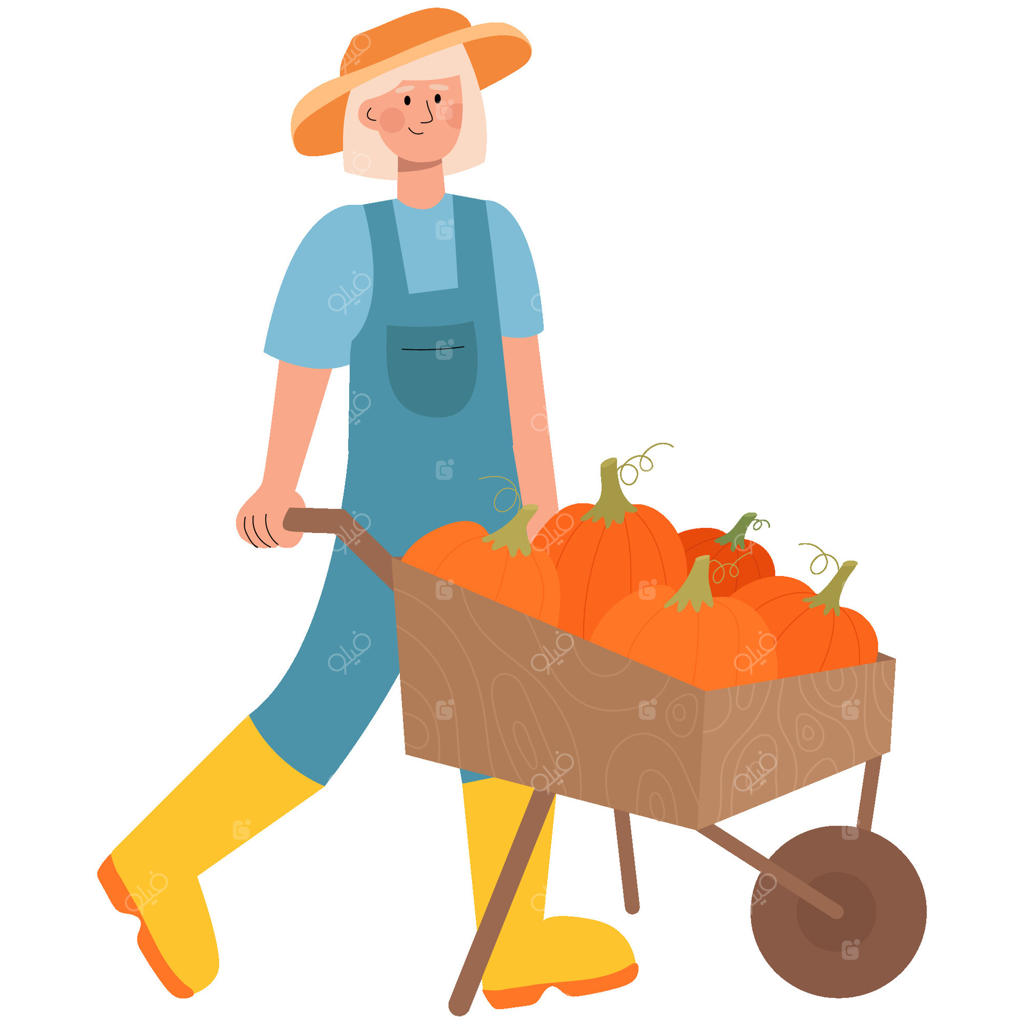 شخصیت زن با فرغون پر از کدو تنبل: مفهوم برداشت پاییزی، کشاورزی ارگانیک و باغبانی خانگی.