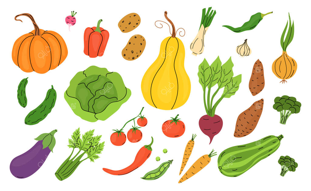 آیکون‌های مجموعه ویتامین بادمجان . برش‌های بادمجان به عنوان مواد اولیه برای تهیه سالاد و پخت با پنیر، رشد و برداشت این گیاه در باغ - تصاویر رنگی