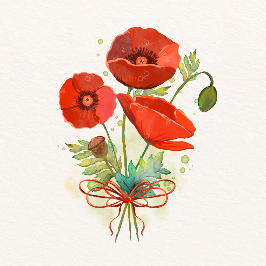 تصویرسازی گل شقایق با آبرنگ