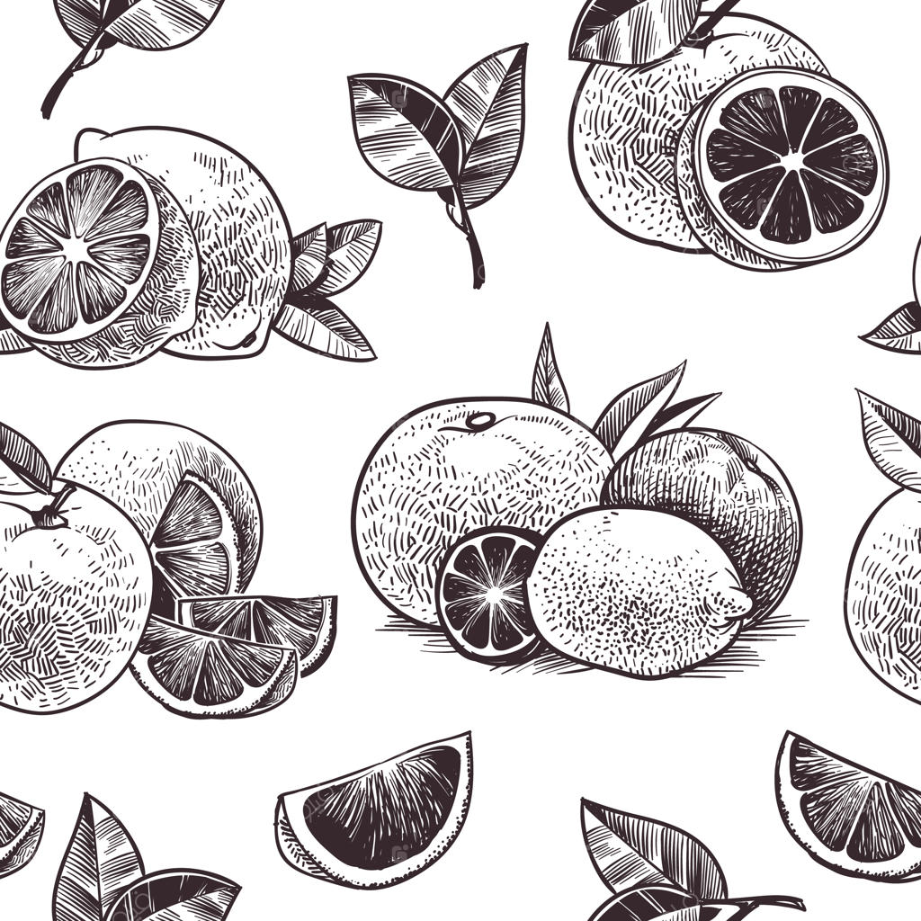 پترن یکپارچه میوه‌های پرتقالی: طرح‌های قدیمی پرتقال، با گل‌ها و برگ‌ها، طراحی خطی لیمو و گریپ‌فروت، تصویرسازی گیاهی وکتور برای کاغذ دیواری.