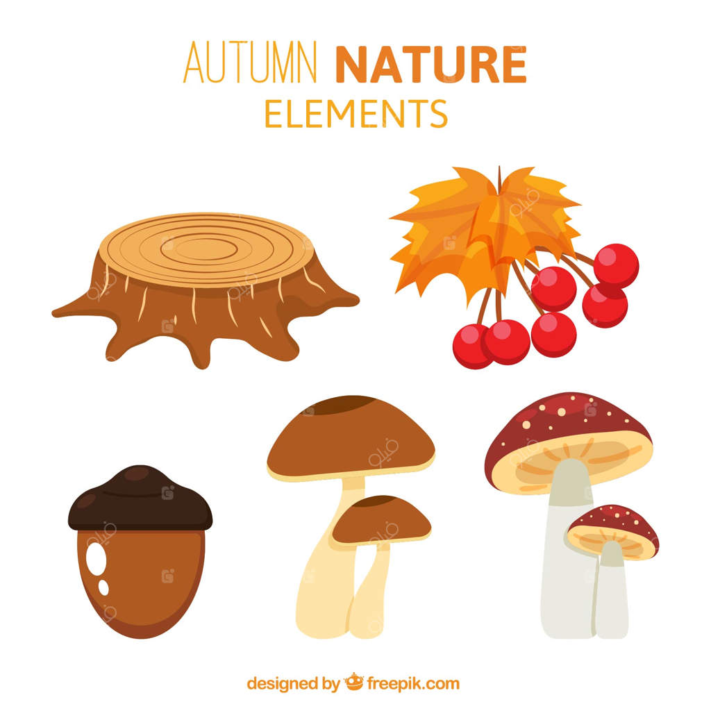 بلوط و دیگر عناصر جنگل