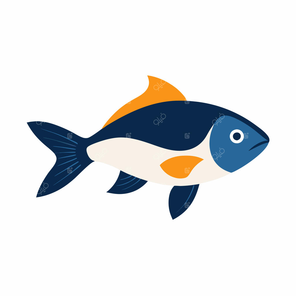 تصویرسازی وکتور ماهی دریایی