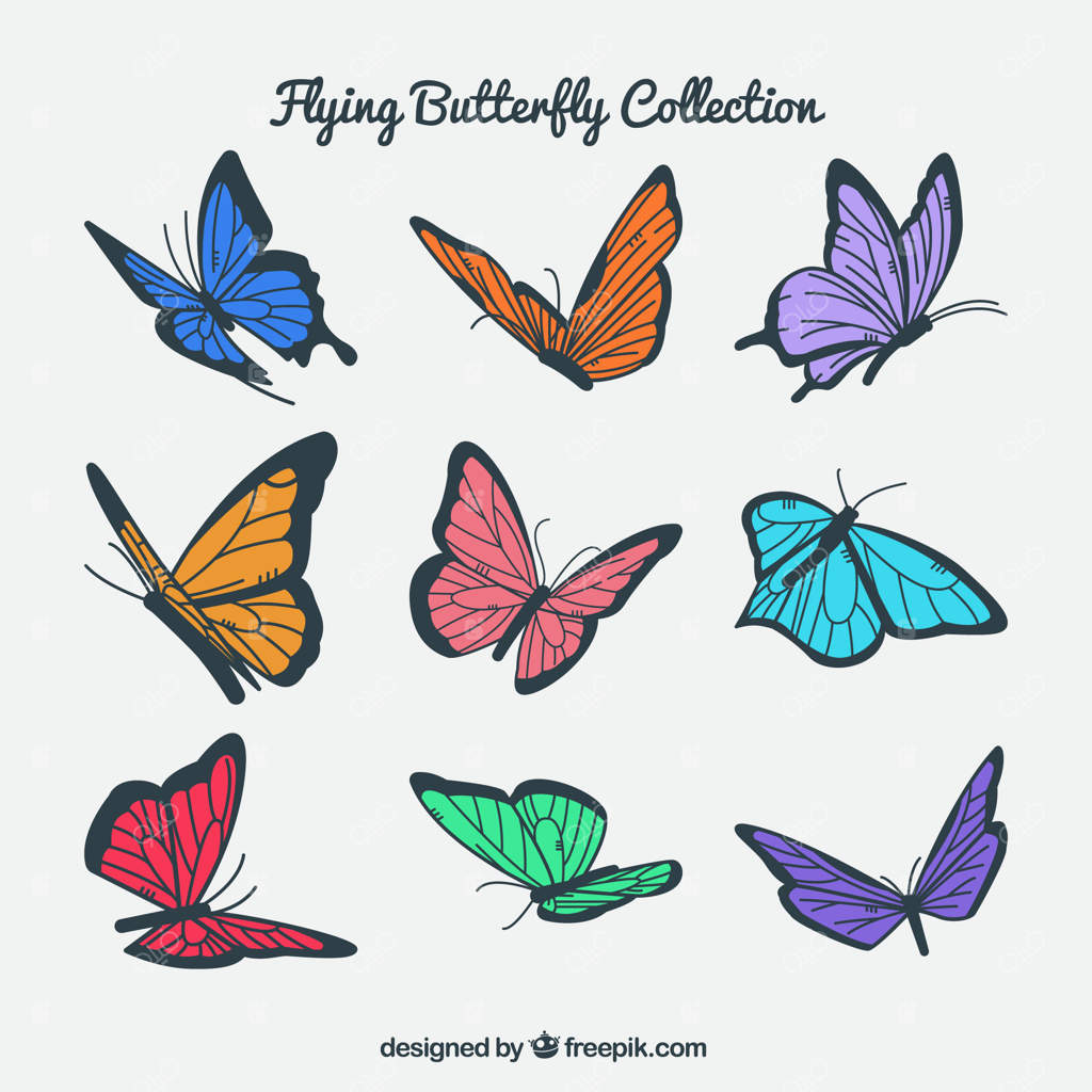 دسته‌ای از پروانه‌های رنگارنگ در حال پرواز