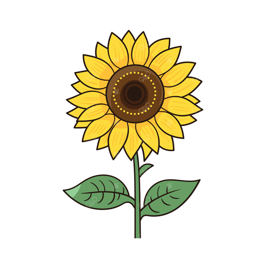 آفتابگردان درخشان در حال شکوفه دادن زیر آسمان آبی زلال در باغ رنگارنگ در ماه‌های تابستان