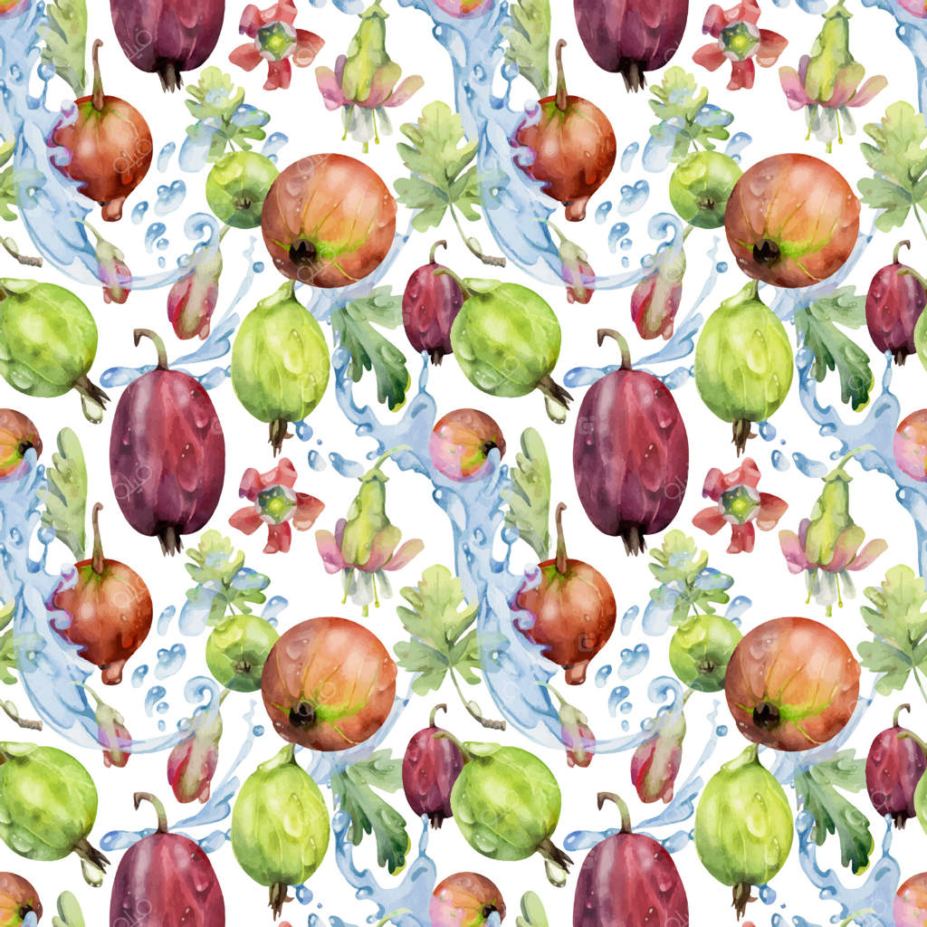 توت انگور فرنگی در پاشش آب با برگ‌های سبز و قطرات شبنم به سبک آبرنگ طراحی شده. میوه‌های رسیده‌ی جونس‌بری و کاسه‌ای و جستابری. پترن یکپارچه برای پارچه و کاغذ کادو.