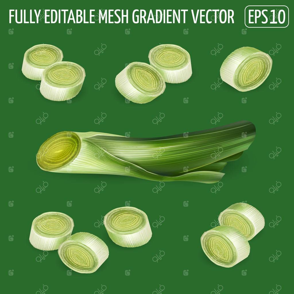 مجموعه‌ای از ترکیب‌های برش‌های تره‌فرنگی - طراحی سبزیجات تازه. تصویرسازی واقعی.