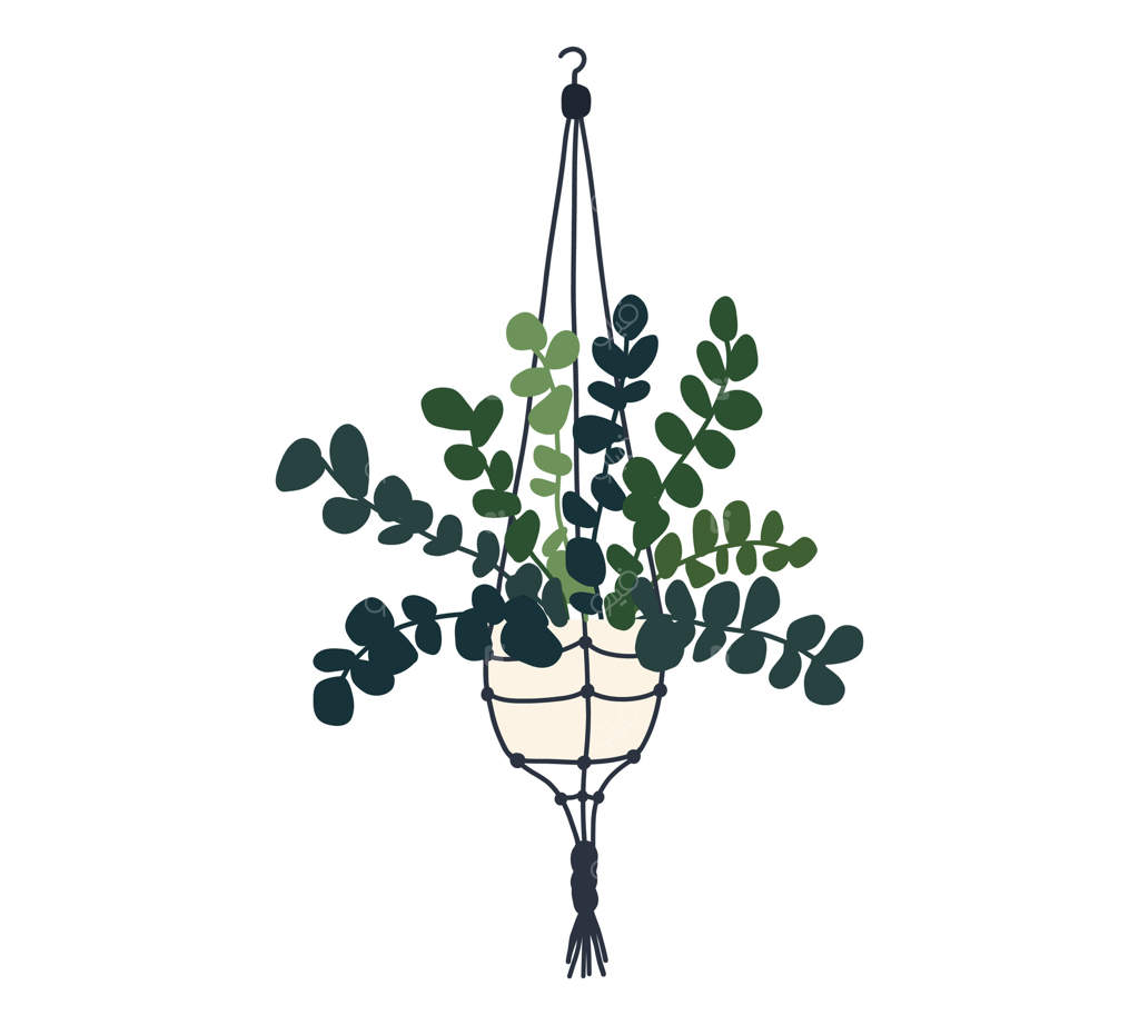 گلدان آویز ماکرامه برای دکوراسیون داخلی و باغچه آپارتمان