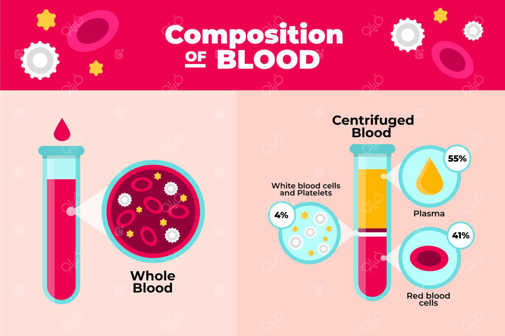اینفوگرافیک ساده خون