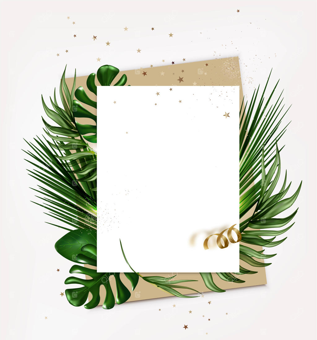 کاغذ سفید یا کارت با برگ‌های استوایی، نمای بالا