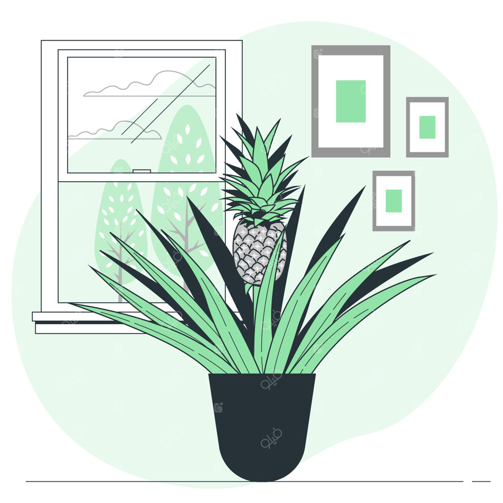 تصویر مفهومی درخت آناناس