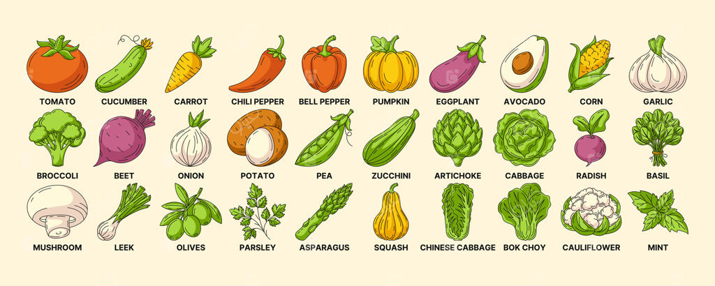 مجموعه آیکون‌های رنگارنگ سبزیجات و تره‌بار. نشانه‌های خطی سبزیجات. مجموعه‌ای از آیکون‌های مختص کشت و کار، غذای گیاه‌خواری و وگان، تغذیه سالم و محصولات ارگانیک.