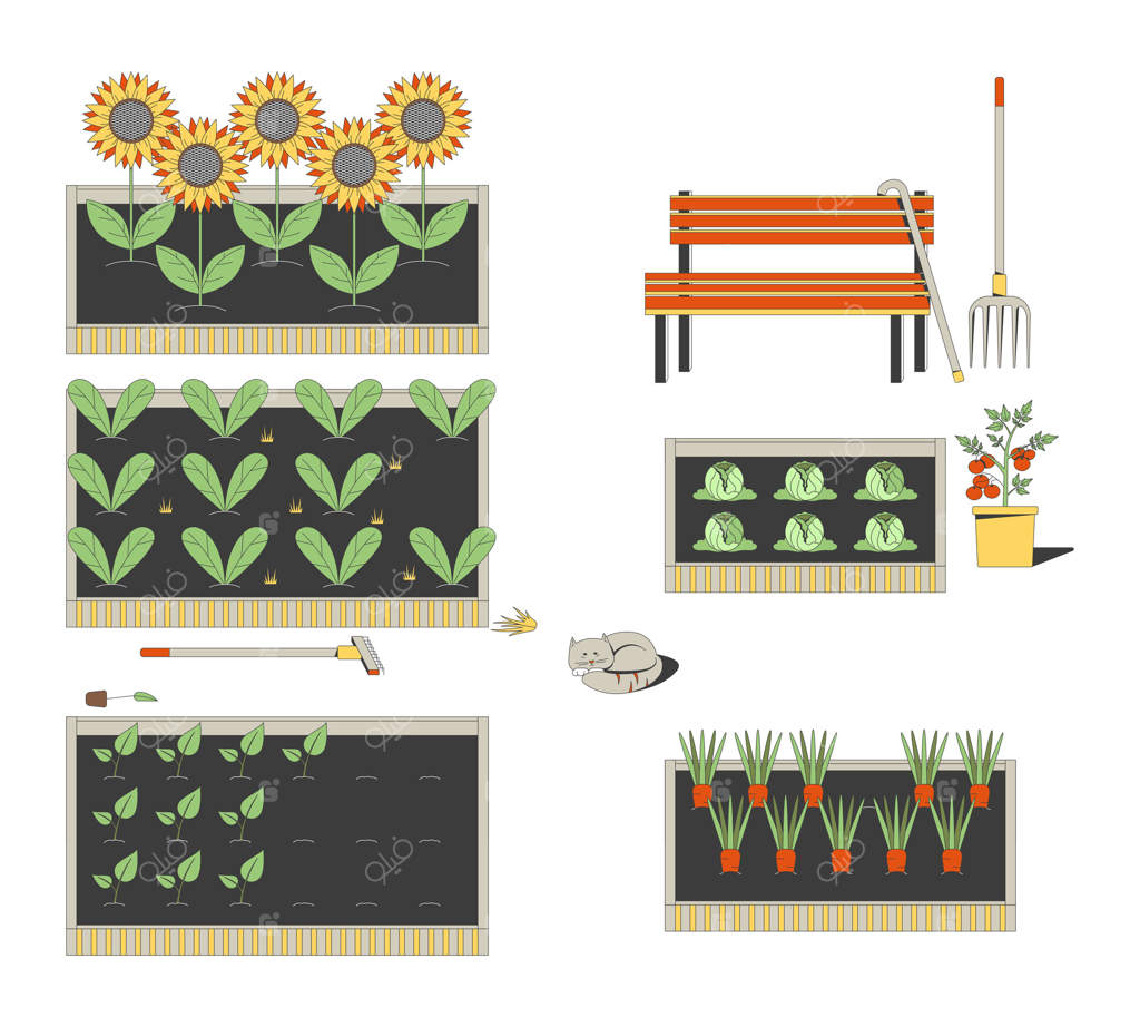 باغچه اجتماعی با باغچه‌های مرتفع: تصویر دو بعدی. نیمکتی با عصا و گربه‌ای خوابیده. آفتابگردان‌ها، سبزیجات برگ‌دار، گوجه‌فرنگی و هویج در صحنه‌ای ساده بر روی پس‌زمینه سفید. تصویر کارتونی رنگارنگ.